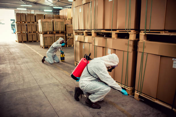 Best Affordable Pest Control Services  in Plymouth Meeting, PA