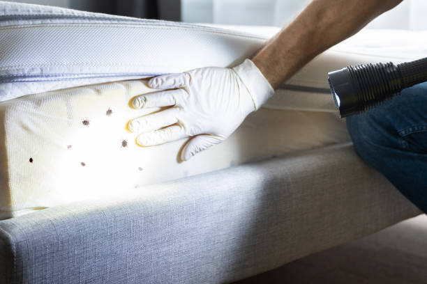 Best Pest Inspection Near Me  in Plymouth Meeting, PA