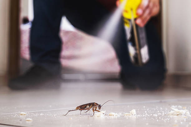 Professional Pest Control in Plymouth Meeting, PA